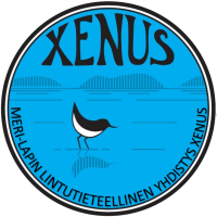 Xenus.fi